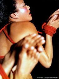 娱乐大爆料钟丽缇视频,娱乐大爆料背后的惊人真相